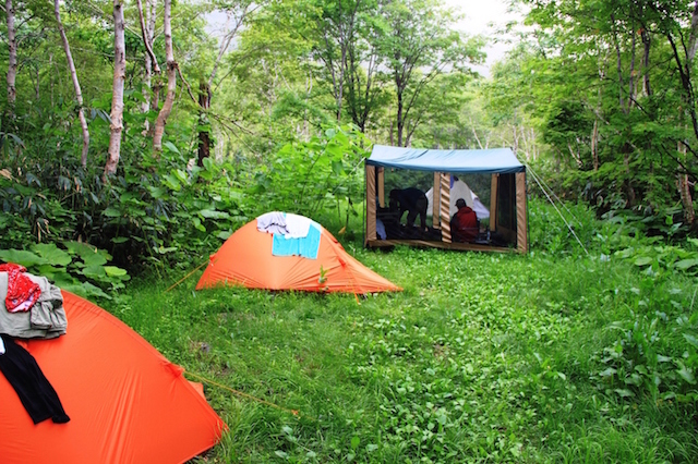 我々のテントです